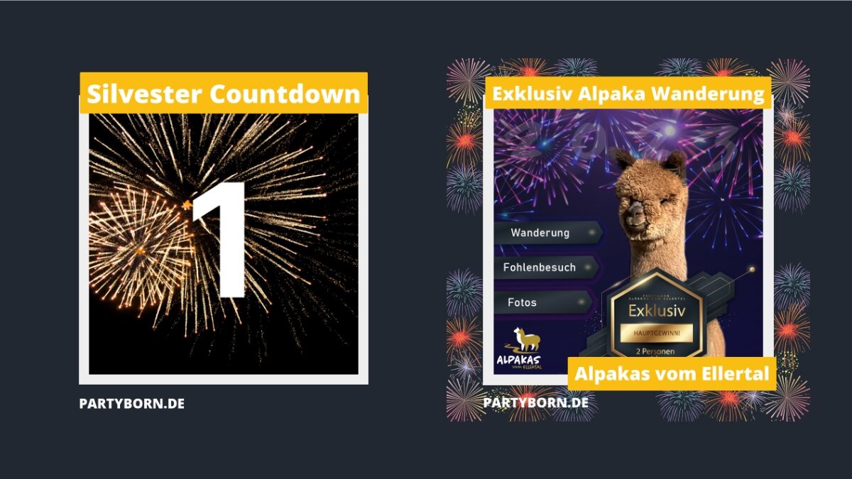 Silvester Countdown 1: Exklusiv Alpaka Wanderung – Alpakas vom Ellertal